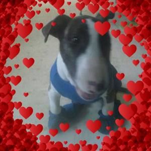 Meet your Posher, Bryant